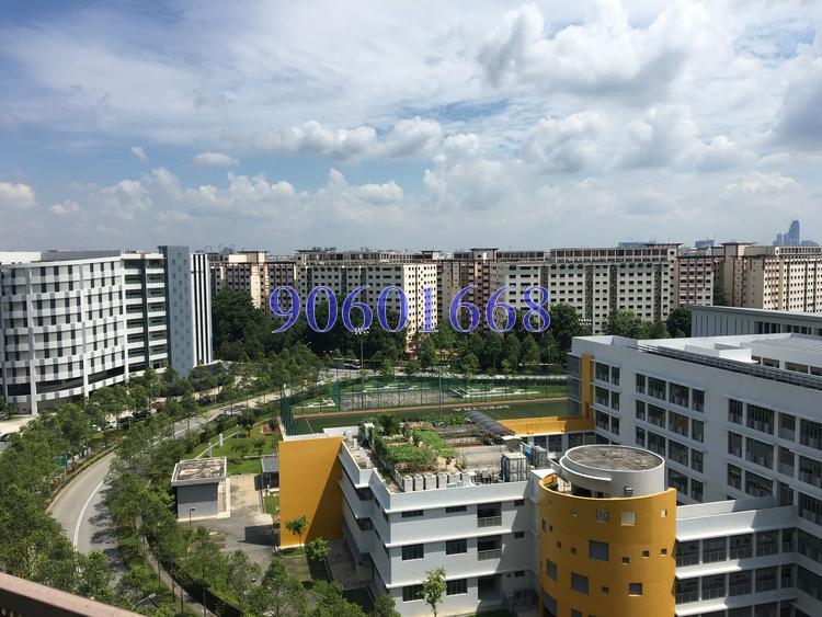 Primz Bizhub (D25), Factory #146208412